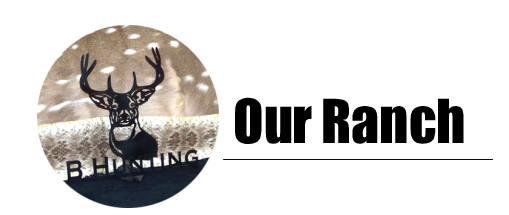 B-Hunting Serevices Uvalde, Texas Hunting Ranch and guide service our ranch